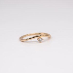 Anello Curva